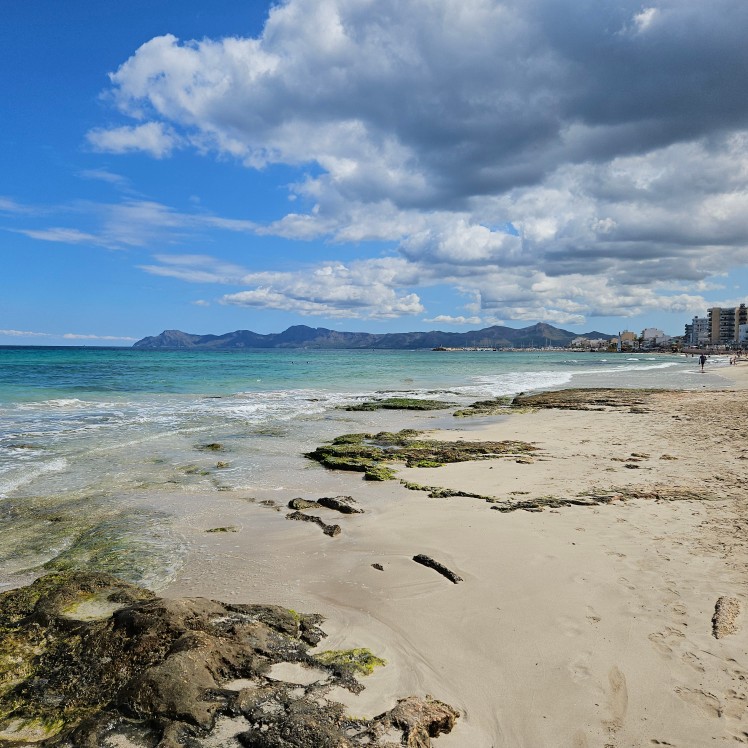 Discover Can Picafort Mallorca: View of the Peninsula