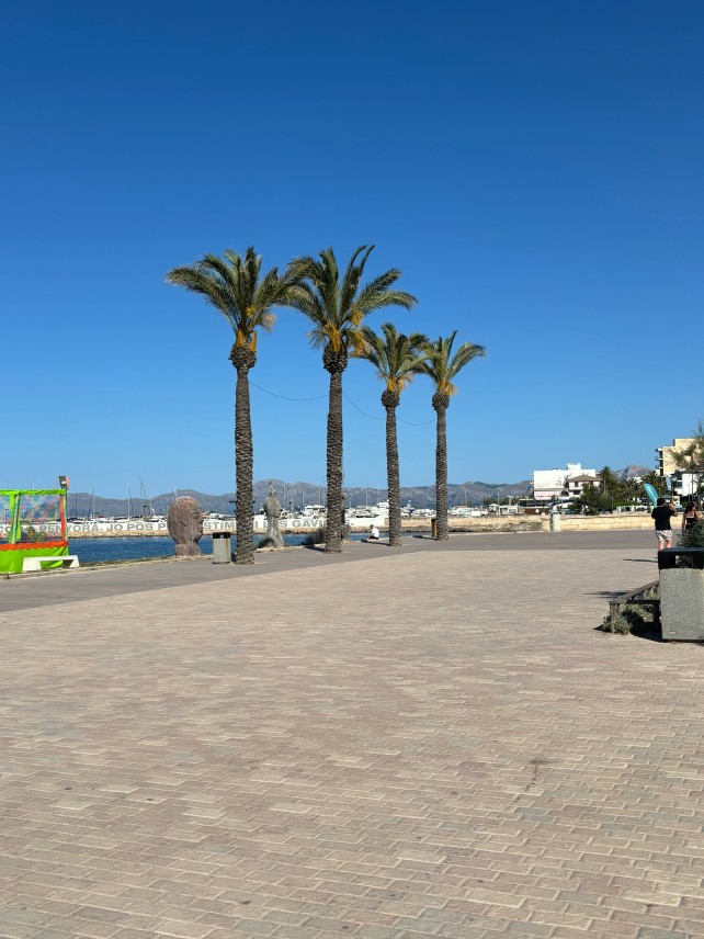 Discover Can Picafort Mallorca: Palms along the Harbor