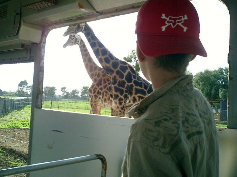 BEST THINGS TO DO IN CALA MILLOR BEACH: TRAVEL GUIDE 2025!