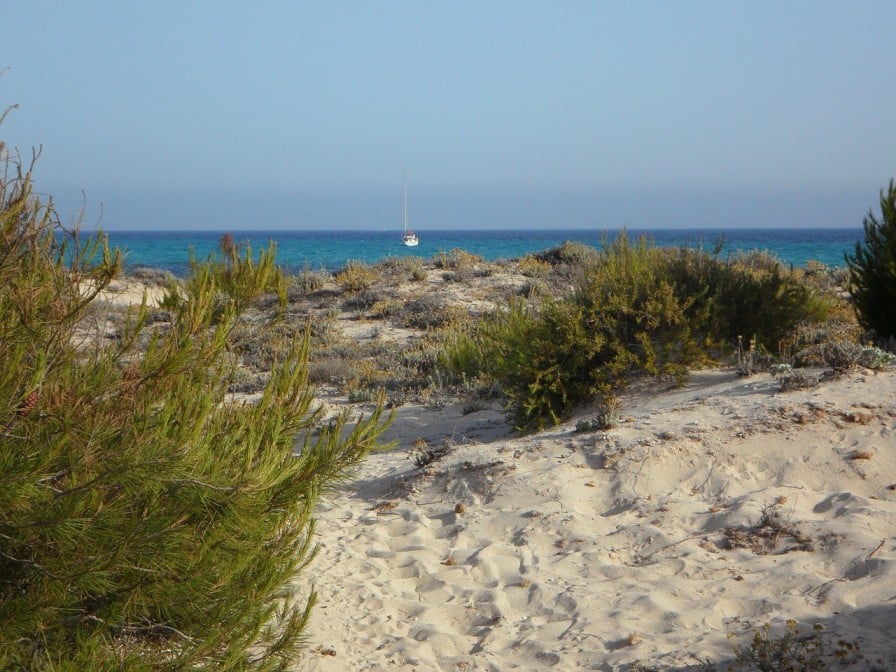 Sand Dunes in Estrenc, Mallorca, Spain